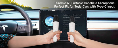 Q1 Tesla Wireless Handheld Microphone – Karaoke Mic with 4 Joy Effects, Rechargeable, Type-C Receiver & USB Converter