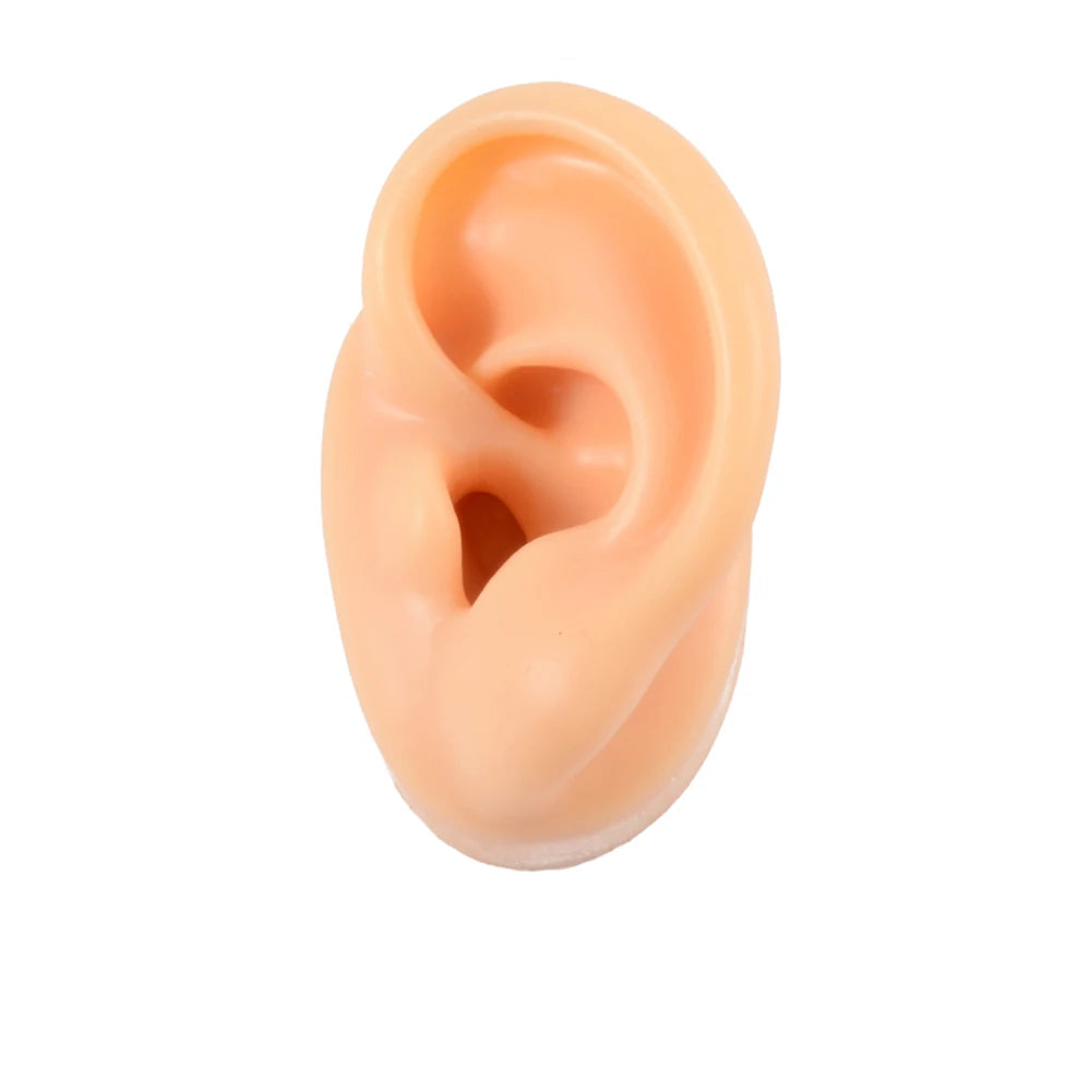 Soft Silicone Ear Model Display Stand – Tattoo Practice & Body Piercing Jewelry Holder with Acrylic Earring Display Kit for Training & Showcase