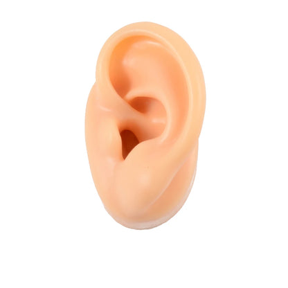 Soft Silicone Ear Model Display Stand – Tattoo Practice & Body Piercing Jewelry Holder with Acrylic Earring Display Kit for Training & Showcase