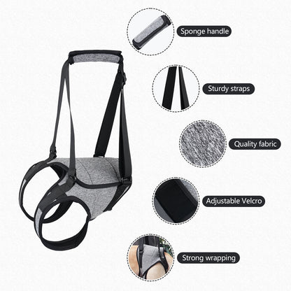 Dog Lift Harness for Large Dogs - Soft Padded Adjustable Back Leg Sling for Senior Pets and Joint Injuries