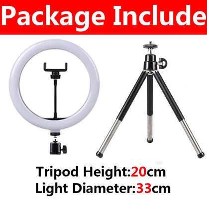 10 Inch LED Selfie Ring Light - Dimmable Photography Fill Lamp With Mini Tripod for Phone Live Video Studio