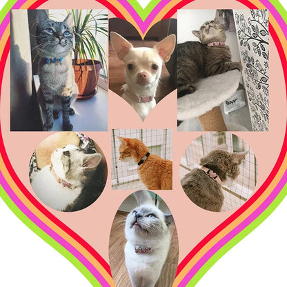 Heart Charm Cat Collar with Bell – Adjustable Safety Elastic Velvet Collar for Small Cats & Dogs, 8 Colors