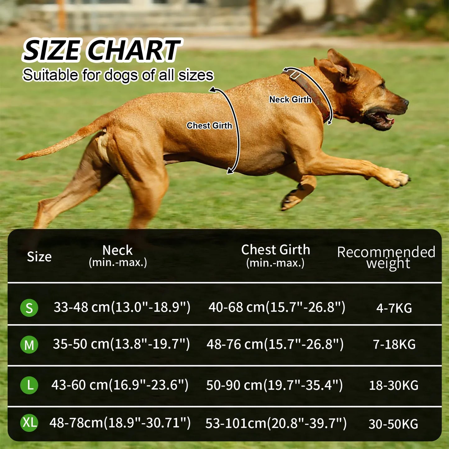 MASBRILL Reflective Nylon No-Pull Dog Harness: Adjustable Vest for Medium to Large Dogs - Safety Vehicular Lead for Walking and Running