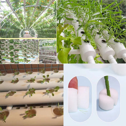 50pcs Hydroponic Mesh Net Baskets — Soilless Plant Nursery Cups for Veggie & Clone Growth