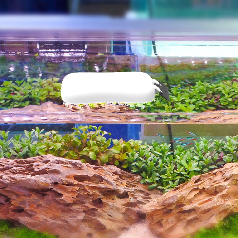 Aquarium Glass Algae Scraper – Magnetic Floating Fish Tank Cleaner Brush