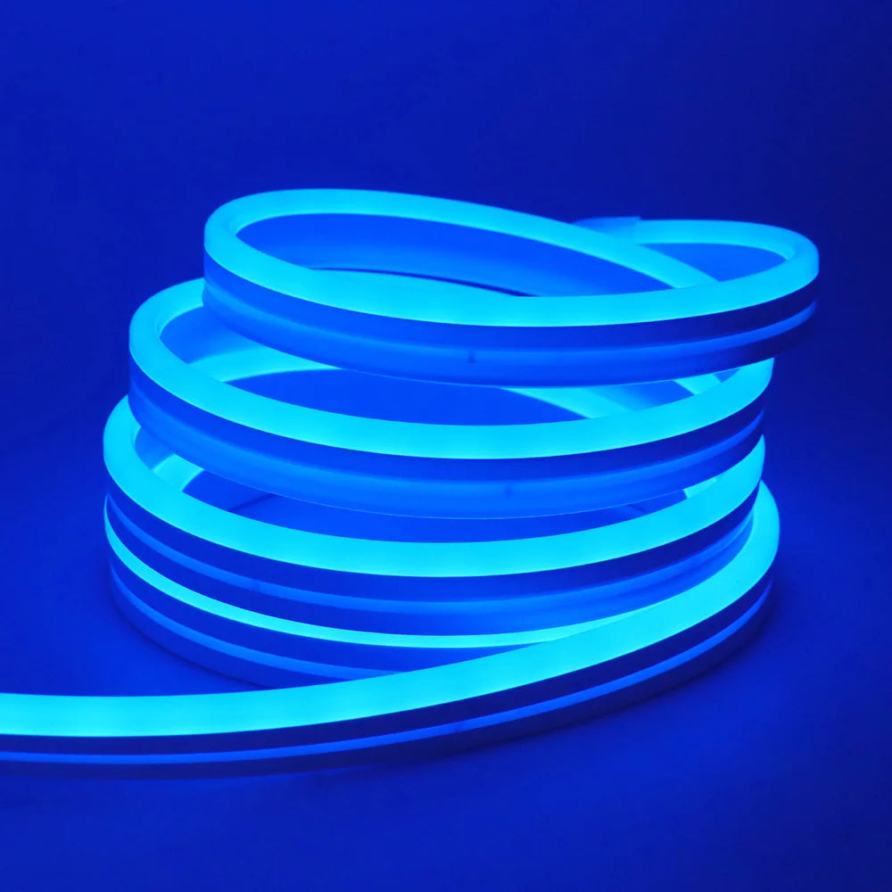 EU Plug DC24V RGB Neon LED Strip – 3535 Bluetooth Music Sync Waterproof Rope Light, 5-30M for Indoor & Outdoor Decor