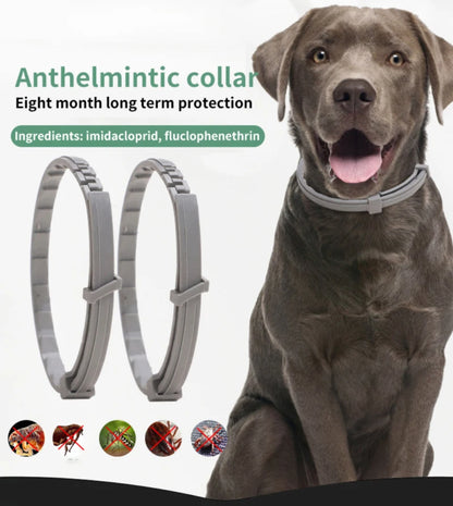 Dog & Cat Anti-Flea and Tick Collar – 8-Month Protection – Adjustable Pet Collar for Puppies, Cats, and Large Dogs