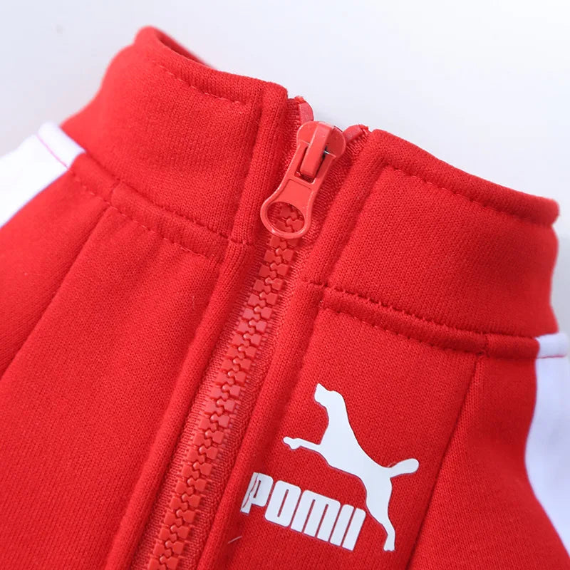 Baseball-Themed Dog Jacket - Warm Winter Vest for Small to Medium Dogs, Perfect for French Bulldogs, Chihuahuas, and Pugs
