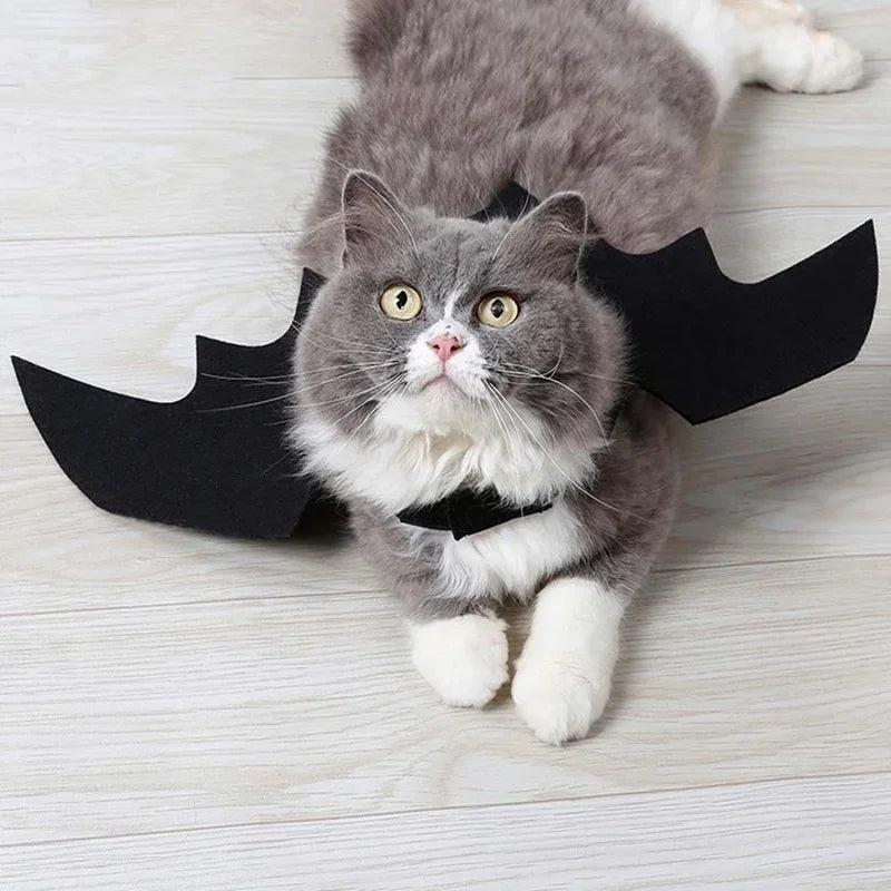 Halloween Cute Pet Clothes - Black Bat Wings Harness Costume for Cats and Dogs, Perfect for Halloween Party