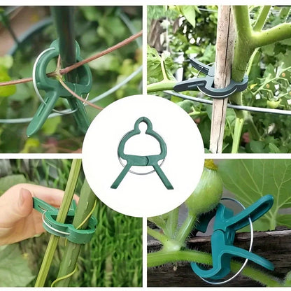 50/20/10pcs Adjustable Plant Clips – Reusable Plastic Garden Supports for Flowers, Vines, Vegetables & Tomatoes