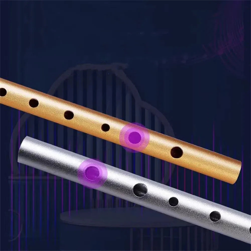 Irish Tin Whistle – Key of C/D Penny Whistle, Easy-to-Learn Classical Instrument for Beginners
