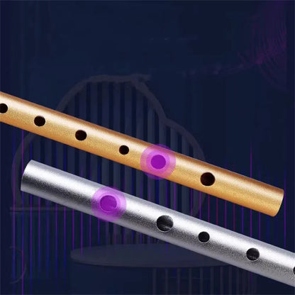 Irish Tin Whistle – Key of C/D Penny Whistle, Easy-to-Learn Classical Instrument for Beginners