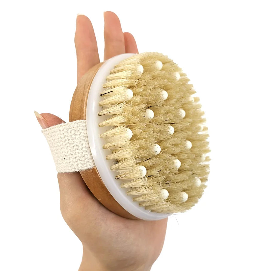 2-in-1 Natural Bristle Body Brush – Dry Skin Exfoliator & Anti-Cellulite Massager for Blood Circulation