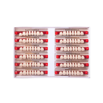 16/12 Set Dental Denture Teeth Model Kit, Upper & Lower Anterior Synthetic Polymer Teeth A2 A3 for Dental Education & Training