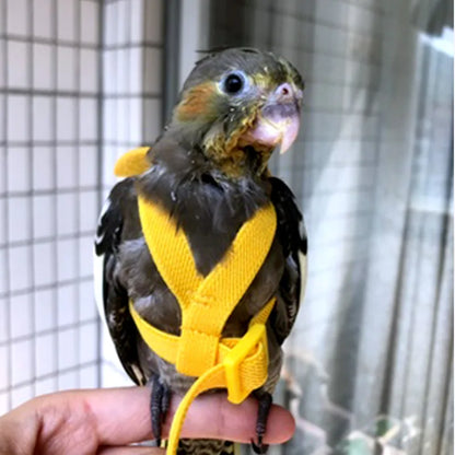 Adjustable Parrot Bird Harness Leash Set: Anti-Bite Training Gear for Outdoor Flying - Cockatiel and Small Birds Supplies