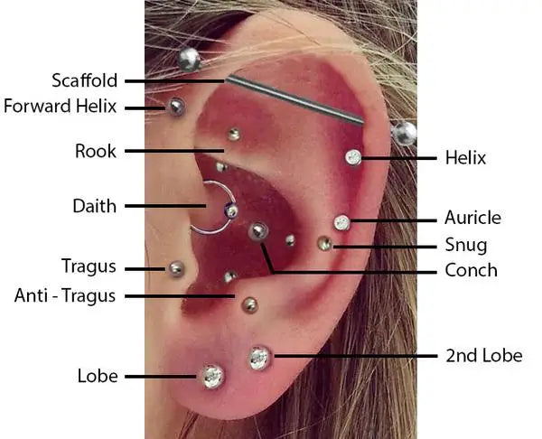 16G Stainless Steel Helix Cartilage Tragus Barbell Earrings – Chain Tassel Ball Stud Piercing Jewelry for Men & Women