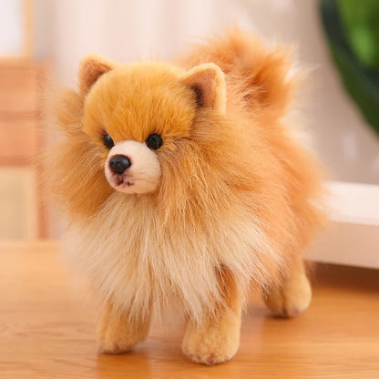 Realistic Pomeranian Plush Toy - Cute Soft Stuffed Puppy for Kids, Girls, Xmas Gifts & Home Decor