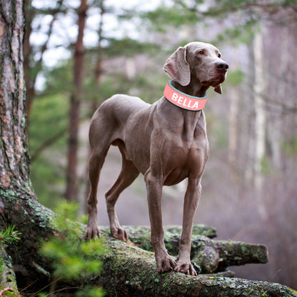 Wide Personalized PU Leather Dog Collar – Custom Tag Soft Pet Collar for Small, Medium & Large Dogs, Pitbulls & Bulldogs