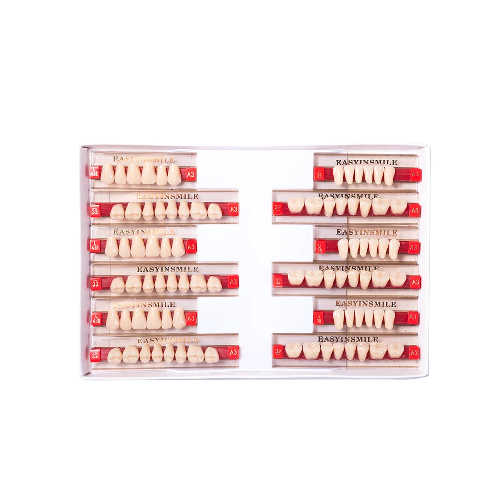 16/12 Set Dental Denture Teeth Model Kit, Upper & Lower Anterior Synthetic Polymer Teeth A2 A3 for Dental Education & Training