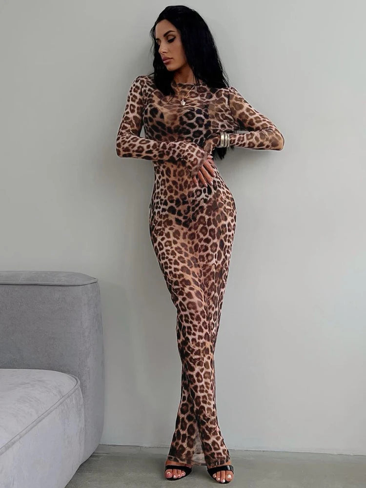 Hugcitar Leopard Print Mesh Long Sleeve Maxi Dress – Sexy Slim See-Through Fall Fashion for Women, Beach & Club Outfits
