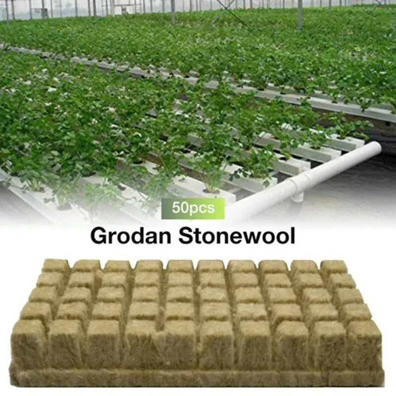 50pcs 25x25x25mm Stonewool Hydroponic Grow Cubes — Rockwool Seedling Blocks for Soilless Plant Cultivation