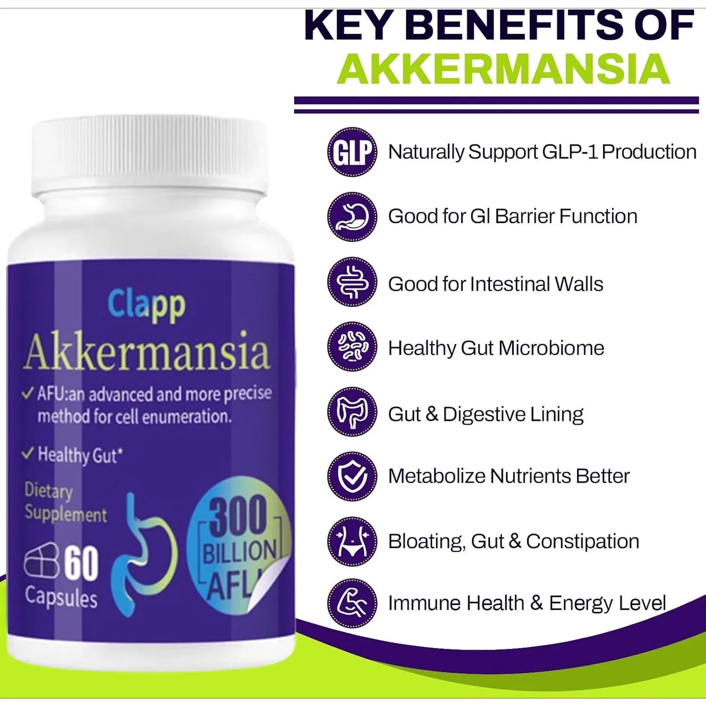 300 Billion AFU Akkermansia Muciniphila Probiotic – Live Digestion Support Supplement
