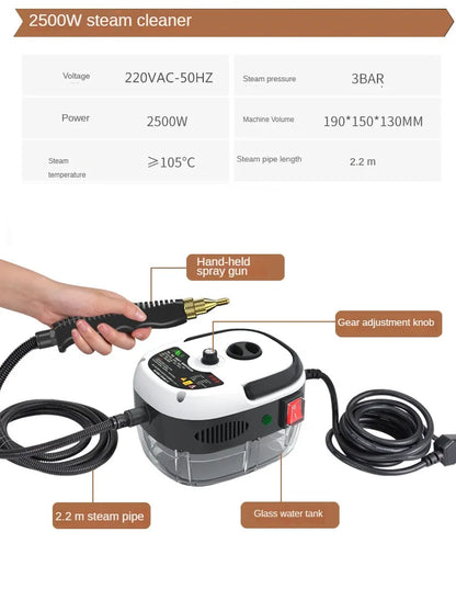 High-Temperature Steam Cleaner - Sterilization for Air Conditioning, Kitchen Hood, Home & Car, 110V US Plug / 220V EU Plug