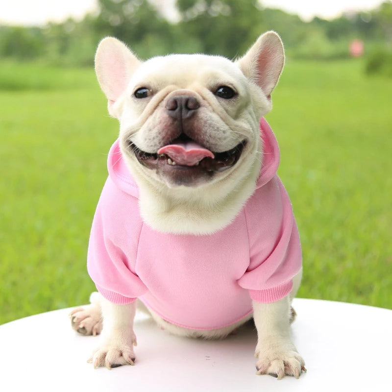 Warm Fleece Pet Vest - Cute Hoodie Sweater Coat for Small to Medium Dogs | Winter Puppy Shirt Jacket Costumes