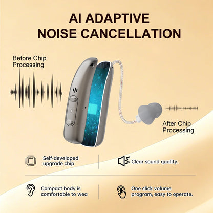 Mirasing Bluetooth Hearing Aid - Rechargeable RIC BTE with Noise Reduction & Charging Case