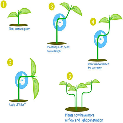 360 Degree Adjustable Plant Branches Bender Training Clips - Low Stress Training Tool for Garden Stem Trainer and Planter Holder