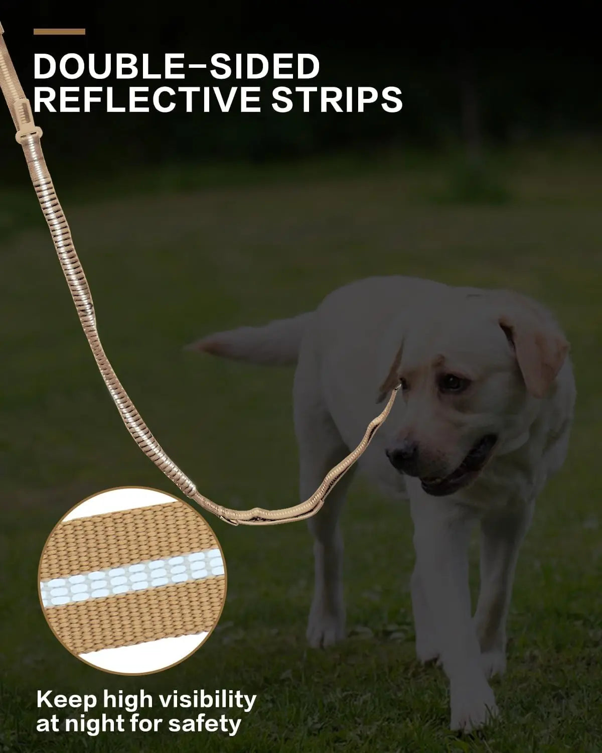 Reflective Shock Absorbing Bungee Dog Leash with Car Seatbelt – Heavy Duty No-Pull Leash for Large Dogs