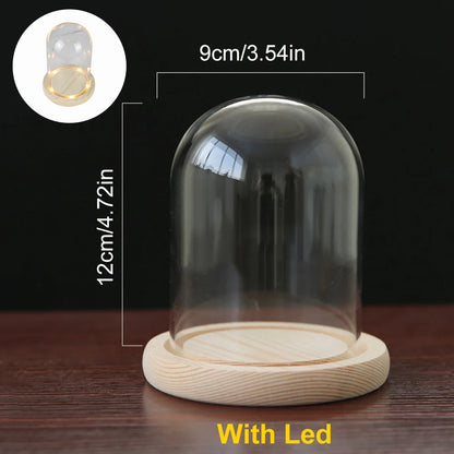 Glass Dome with Wooden Base & LED Light – Terrarium Vase, Flower Holder, Landscape Container for Bedroom Decor & Birthday Gifts