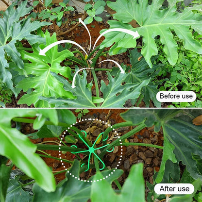 Reusable Plant Support Clips - Plastic Garden Stem Fixing Clips for Houseplant Branch Organizer