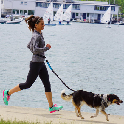 Hands-Free Dog Leash: Adjustable Waist Belt Chest Strap Traction Rope for Pet Walking, Running, Jogging - Dog Accessories