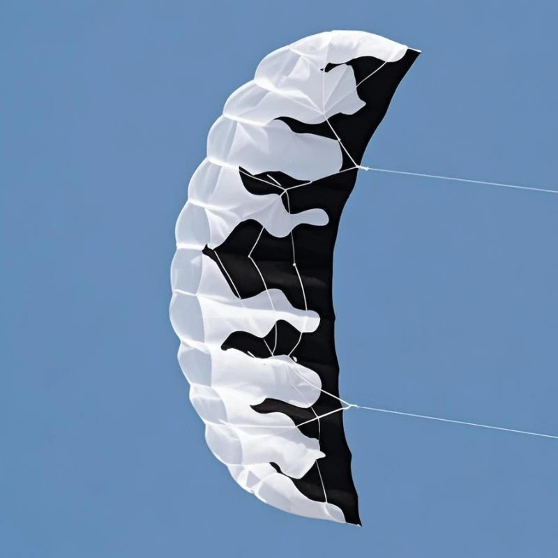 Beginner Dual Line Power Kite - Parafoil Parachute Stunt Kite for Adults and Kitesurf Sports