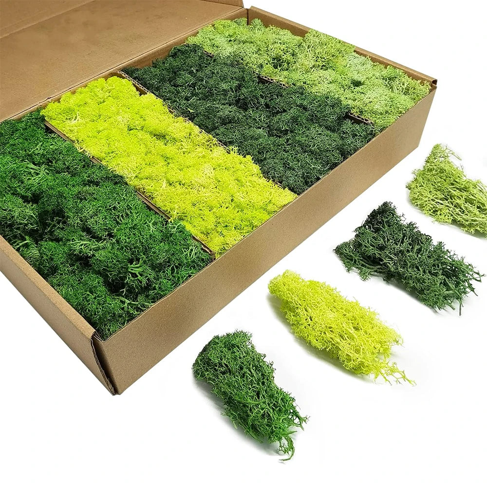 Decorative Artificial Green Plants: Eternal Life Moss DIY Crafts Grass for Home Garden Decor - Mini Landscape Fake Grass in 20/40/100g Options