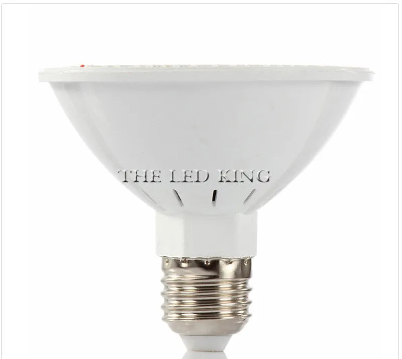 Phyto Lamp Full Spectrum LED Grow Light — E27 Plant Lamp for Indoor Seedlings, Flowers & Grow Tent Box