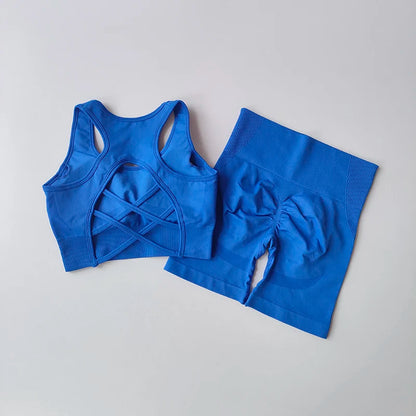 2-Piece Women’s Seamless Yoga Set – Sexy Sport Bra & High-Waist Shorts, Sleeveless Gym Fitness Workout Sportswear