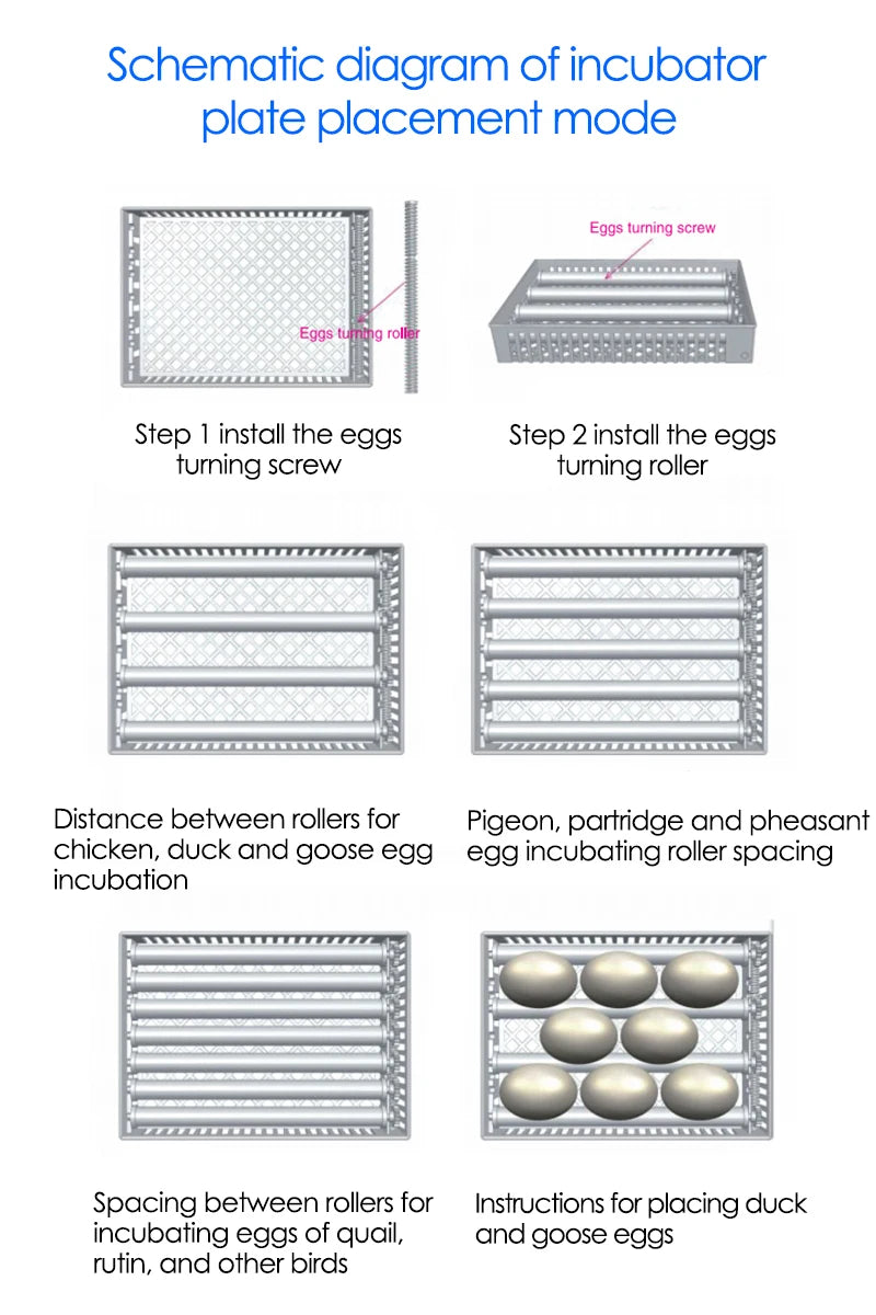 24-Egg Automatic Incubator — Touch Control Hatchery Machine for Chicken, Duck, Quail & Bird Eggs