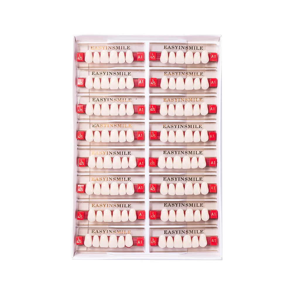 16/12 Set Dental Denture Teeth Model Kit, Upper & Lower Anterior Synthetic Polymer Teeth A2 A3 for Dental Education & Training