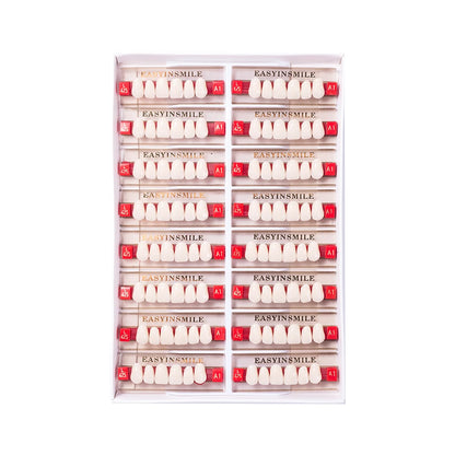 16/12 Set Dental Denture Teeth Model Kit, Upper & Lower Anterior Synthetic Polymer Teeth A2 A3 for Dental Education & Training