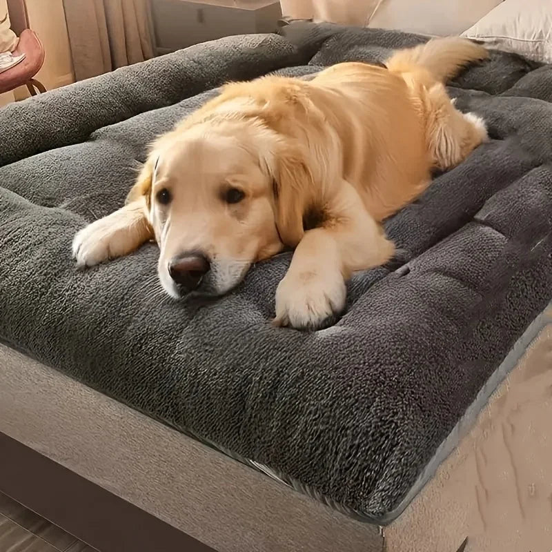 Extra-Large Plush Pet Bed — Super Soft Thick Polyester Dog & Cat Sofa, House, and Cage Mat