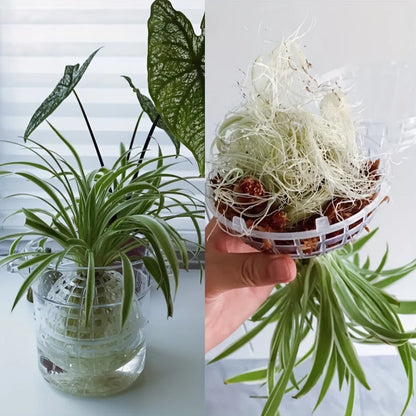 Wall-Mounted Plastic Planter Pot Set - Hanging Flower Pots for Succulents, Orchids, and Green Plants