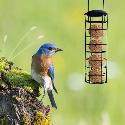 Suet Bird Feeder Holder - Hanging Grease Ball Rack & Outdoor Food Dispenser for Wild Birds