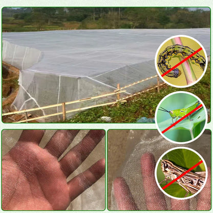 Garden Insect Protection Net - 60 Mesh Plant Vegetables & Fruit Cover for Greenhouse, Flowers - Pest Control & Anti-Bird Netting