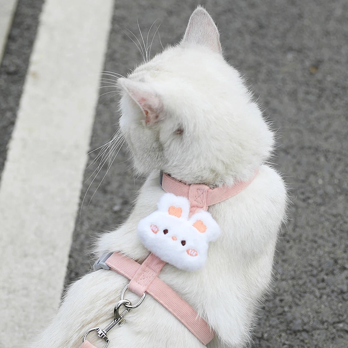 Adjustable Cat & Small Dog Harness with Leash – Breathable Pet Walking Strap Set