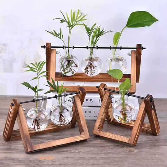 Vintage Glass Vase Hydroponic Plant Terrarium - Bonsai Flower Pot with Wooden Frame Tabletop Tray - Home Decor Accent Piece