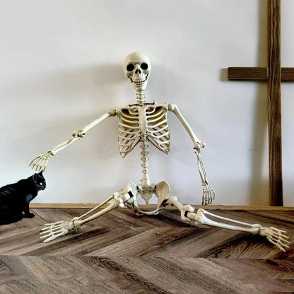 Halloween Life Size Human Skeleton Decoration — Realistic Body Bones with Posable Joints for Haunted House Horror Props