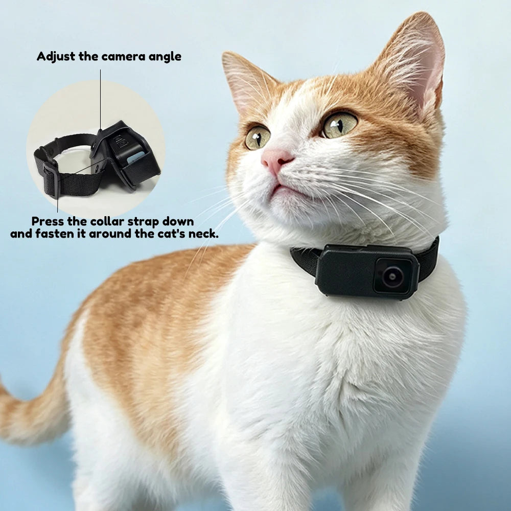 1080P HD Pet Collar Camera - Wireless No-WiFi Video Recorder for Dogs and Cats, Portable Pet Camera Gift