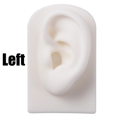 Soft Silicone Ear Nose Mouth Practice Model – Tattoo & Piercing Jewelry Display Stand with Acrylic Earring Holder Kit for Training & Showcase